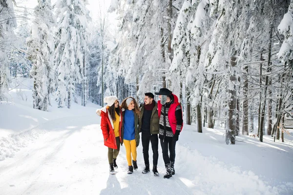 En grupp unga vänner på en promenad utomhus i snö i vinterskogen. — Stockfoto