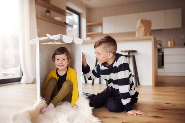 Evde iki mutlu çocuk içeride oynuyor. — Stok fotoğraf