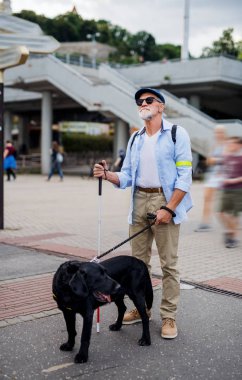 Şehrin dışında duran rehber köpeği olan yaşlı kör adam..
