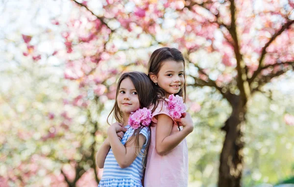 Two small girls standing outside in spring nature, looking at camera.