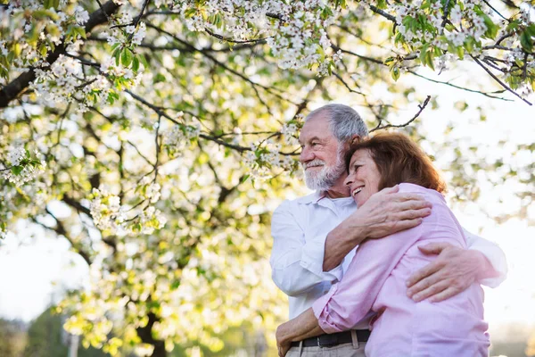 Schönes älteres verliebtes Paar draußen in der frühlingshaften Natur, umarmt. — Stockfoto