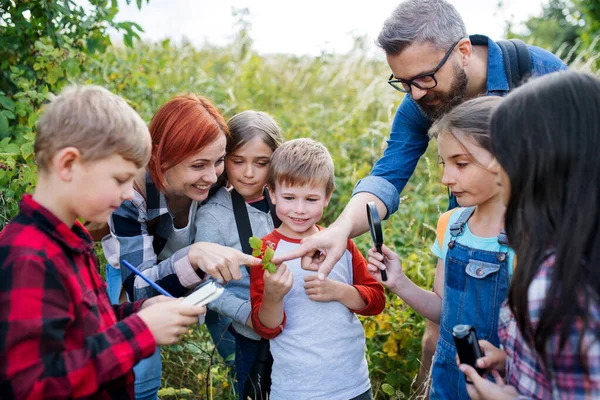 Group of school children with teacher on field trip in nature, learning science. — Stock Photo, Image