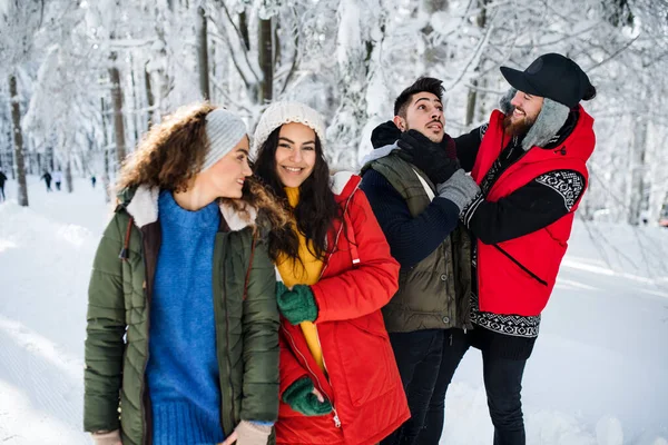 Група молодих друзів на прогулянці на відкритому повітрі в зимовому лісі, розважаючись . — стокове фото