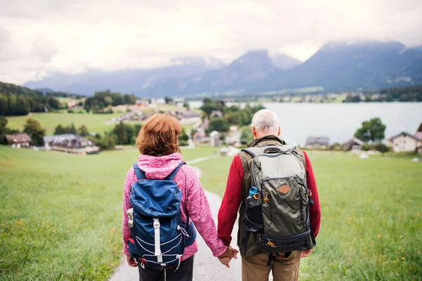 Una vista posteriore di anziani pensionato coppia escursioni nella natura, tenendosi per mano . — Foto Stock