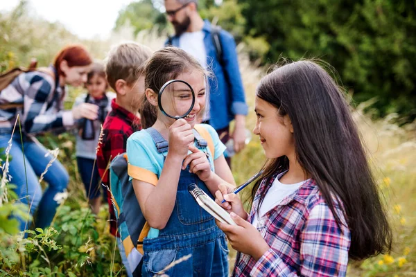 Kelompok anak-anak sekolah dengan guru di lapangan perjalanan di alam, belajar ilmu pengetahuan . — Stok Foto