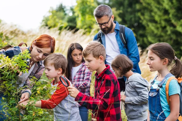 Group of school children with teacher on field trip in nature, learning science. — Stock Photo, Image