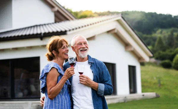 Портрет старшої пари з вином на відкритому повітрі на задньому дворі . — стокове фото
