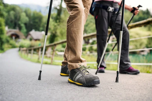 Äldre par med nordiska gångstavar vandrar i naturen, mellersta sektionen. — Stockfoto