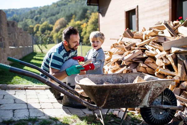 Un padre y un niño pequeño al aire libre en verano, poniendo leña en carretilla . — Foto de Stock