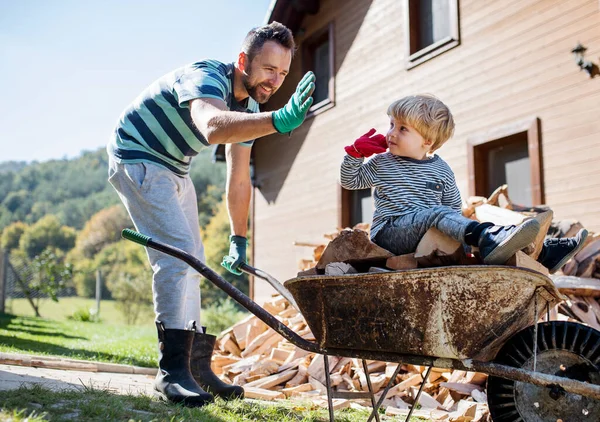 A father and toddler boy outdoors in summer, putting firewood in wheelbarrow. — Stock Photo, Image