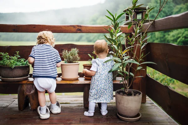 夏のテラスで屋外に立つ2人の幼児の後部ビュー. — ストック写真