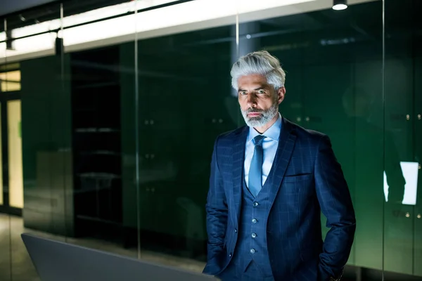 Un ritratto di un uomo d'affari maturo in piedi in un ufficio, guardando la fotocamera . — Foto Stock