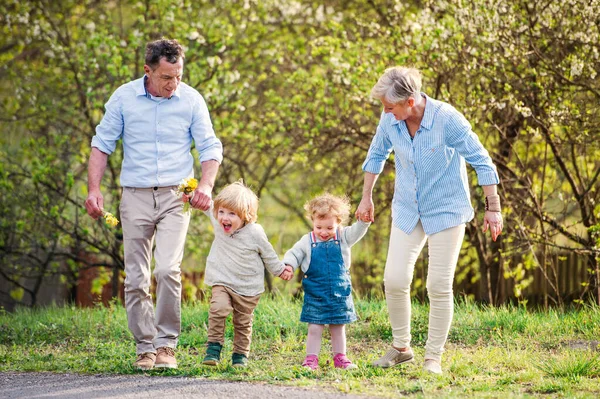 Oudere grootouders met peuter kleinkinderen wandelen in de natuur in het voorjaar. — Stockfoto