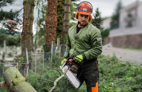 Front view of lumberjack with chainsaw cutting a tree in town. — Stock Photo, Image