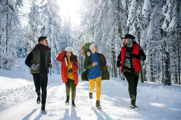 Група молодих друзів на прогулянці на відкритому повітрі в снігу в зимовому лісі . — стокове фото