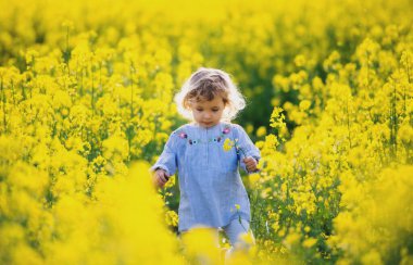 Kolza tohumu tarlasında yürüyen mutlu küçük bir kız..
