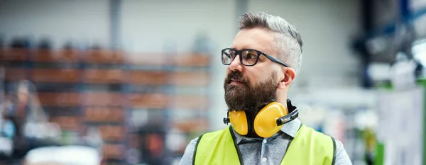 Técnico o ingeniero con auriculares protectores de pie en fábrica industrial . — Foto de Stock