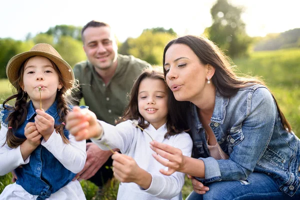 Famiglia felice con due piccole figlie sedute all'aperto nella natura primaverile, soffiando semi di tarassaco . — Foto Stock