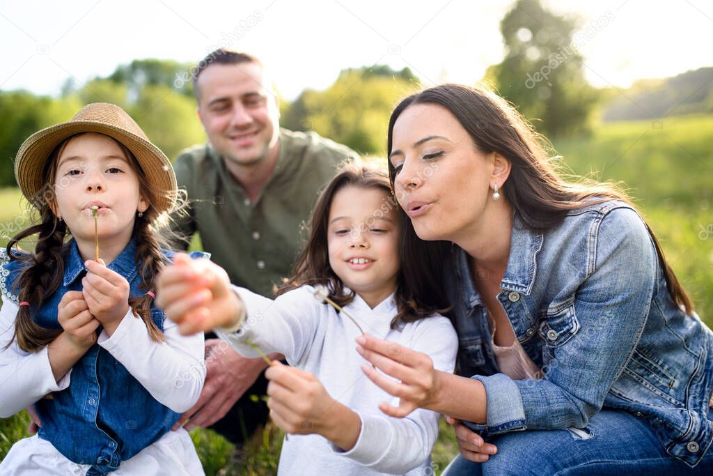 Happy family with two small daughters sitting outdoors in spring nature, blowing dandelion seeds.