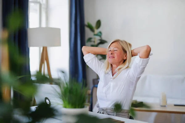 Attraktiv senior affärskvinna med bärbar dator inomhus i hemmakontoret, arbetar. — Stockfoto