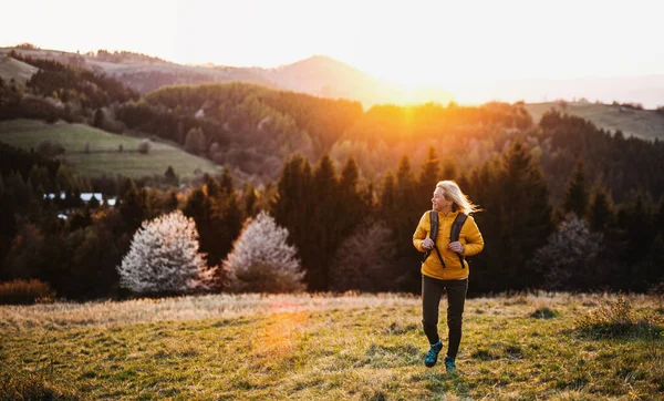 Vue de face de la randonneuse senior marchant à l'extérieur dans la nature au coucher du soleil . — Photo