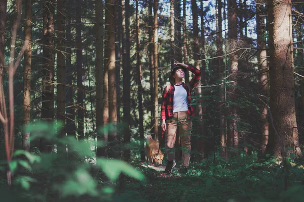 Ung kvinna med hund på promenad ute i skogen i sommarnaturen. — Stockfoto