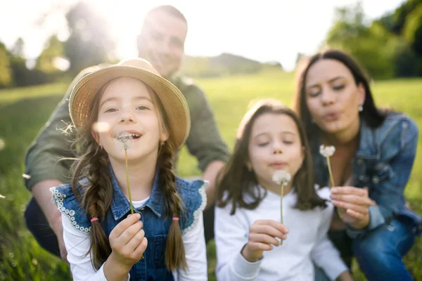 Happy family with two small daughters sitting outdoors in spring nature, blowing dandelion seeds. — Stock Photo, Image