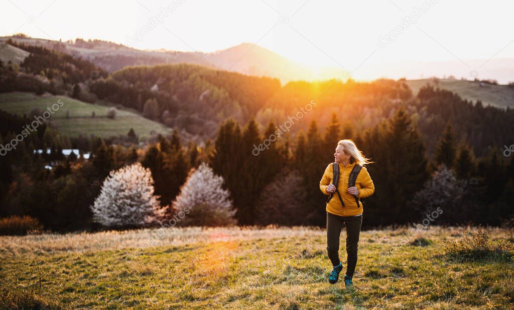 Front view of senior woman hiker walking outdoors in nature at sunset.