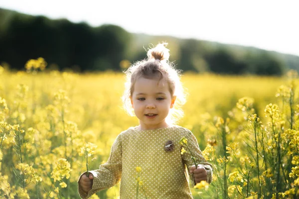 Vue de face de heureuse petite fille tout-petit debout dans la nature dans le champ de colza . — Photo