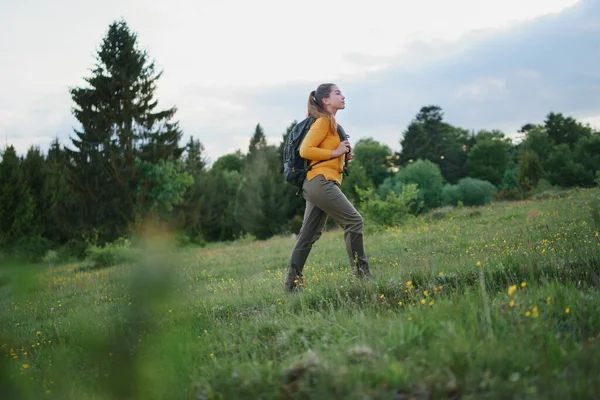 Giovane donna su una passeggiata all'aperto sul prato nella natura estiva, a piedi. — Foto Stock