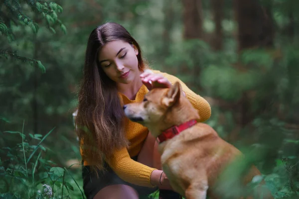 Mujer joven con un perro en un paseo al aire libre en la naturaleza de verano . —  Fotos de Stock