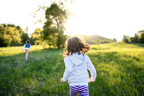 Visão traseira de duas meninas pequenas correndo ao ar livre na natureza primavera . — Fotografia de Stock