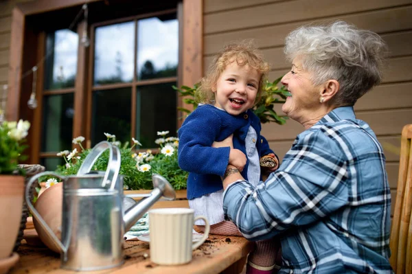 Anziani nonna con piccola nipote giardinaggio in terrazza in estate. — Foto Stock