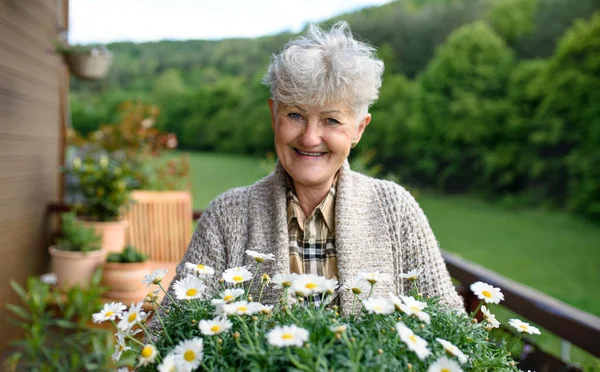 Senior kvinna trädgårdsskötsel på balkong på sommaren, håller blommande växter. — Stockfoto