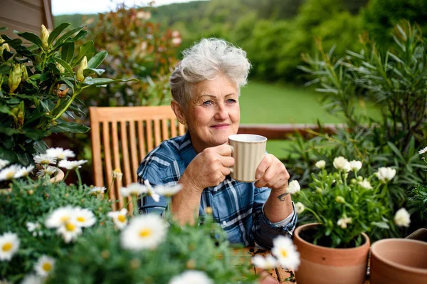 Seniorin gärtnert im Sommer auf Balkon und trinkt Kaffee. — Stockfoto