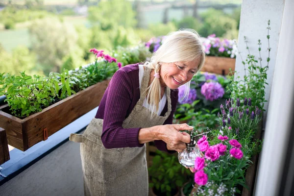 Seniorin gärtnert im Sommer auf Balkon und besprüht Pflanzen. — Stockfoto