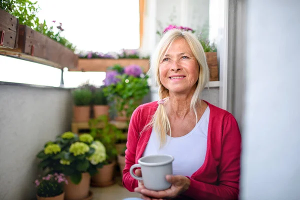 Mujer mayor con café en el balcón en verano, relajante entre las plantas con flores en maceta . — Foto de Stock