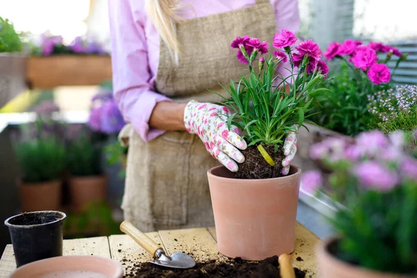 Unerkannte Seniorin gärtnert im Sommer auf Balkon und pflanzt Blumen. — Stockfoto