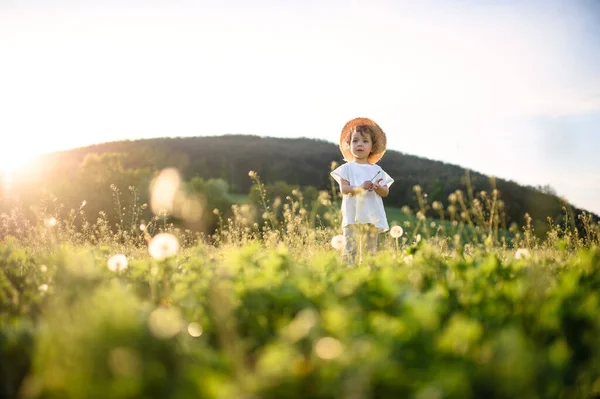 夏に屋外の牧草地に立つ小さな幼児の女の子。スペースのコピー. — ストック写真