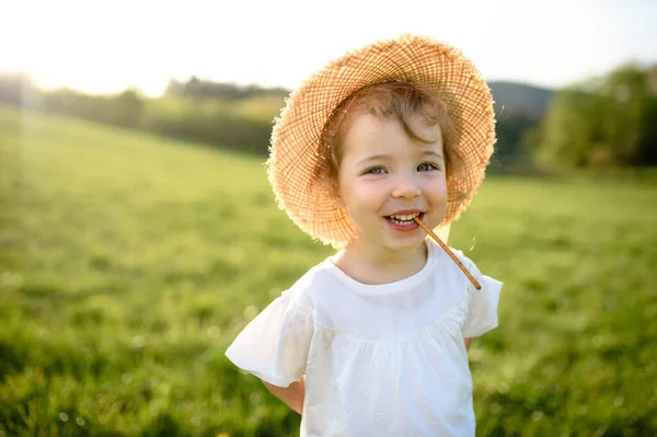 Small toddler girl standing on meadow outdoors in summer, looking at camera. — Stock Photo, Image