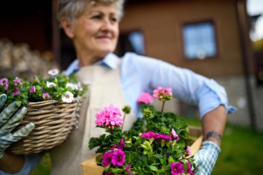 Yazın bahçıvanlık yapan, elinde çiçeklerle gezen yaşlı bir kadın..