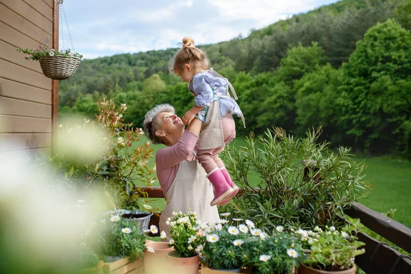 Idős nagymama kisunokával kertészkedés az erkélyen nyáron. — Stock Fotó