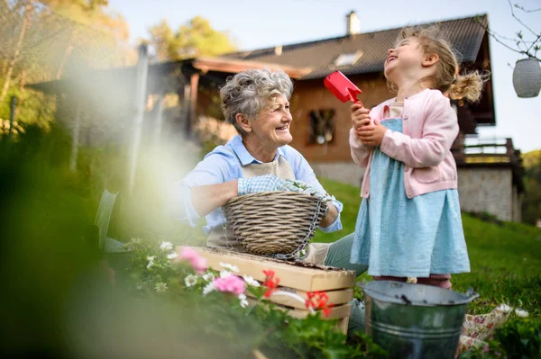 Ältere Großmutter mit kleiner Enkelin, die im Sommer im Freien gärtnert und lacht. — Stockfoto