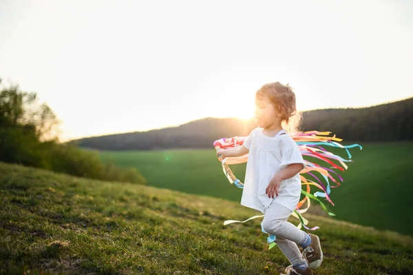 Small toddler girl playing on meadow outdoors in summer. Copy space. — Stock Photo, Image