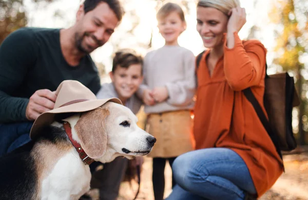 Bella giovane famiglia con bambini piccoli in una passeggiata nella foresta autunnale. — Foto Stock