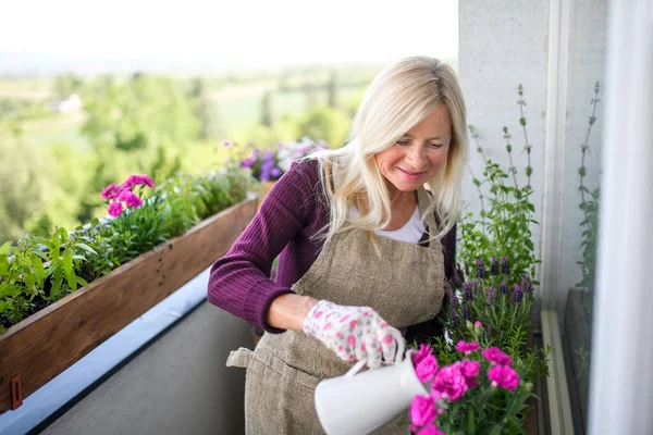 Jardinería de mujeres mayores en el balcón en verano, regar plantas . — Foto de Stock