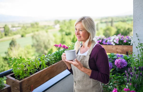 Senior kvinna med kaffe trädgårdsarbete på balkong på sommaren. — Stockfoto