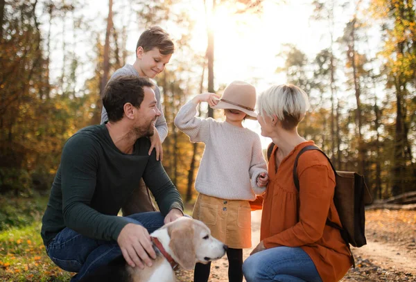 Beautiful young family with small children on a walk in autumn forest. — Stock Photo, Image