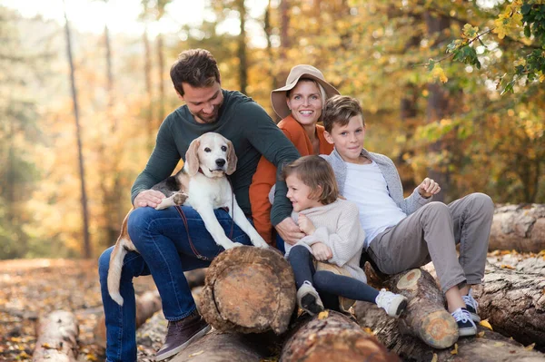 Gezin met kleine kinderen en hond op een wandeling in het herfstbos. — Stockfoto