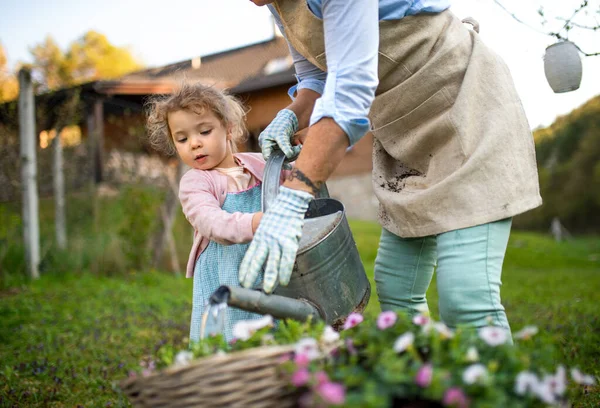 Senior grandmother with small granddaughter gardening outdoors in summer. — Stock Photo, Image